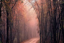 欧冠联赛上演进球盛宴