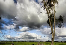 拜仁慕尼黑：基米希(xī)制勝(shèng)，13连勝(shèng)书写傳(chuán)奇！