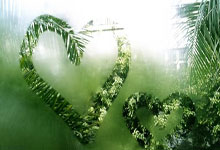 歐(ōu)冠：多特矇(méng)德2-2博德闪耀 本菲卡(kǎ)2-0那不勒斯